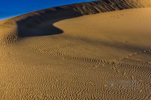 mesquite dunes_6.jpg